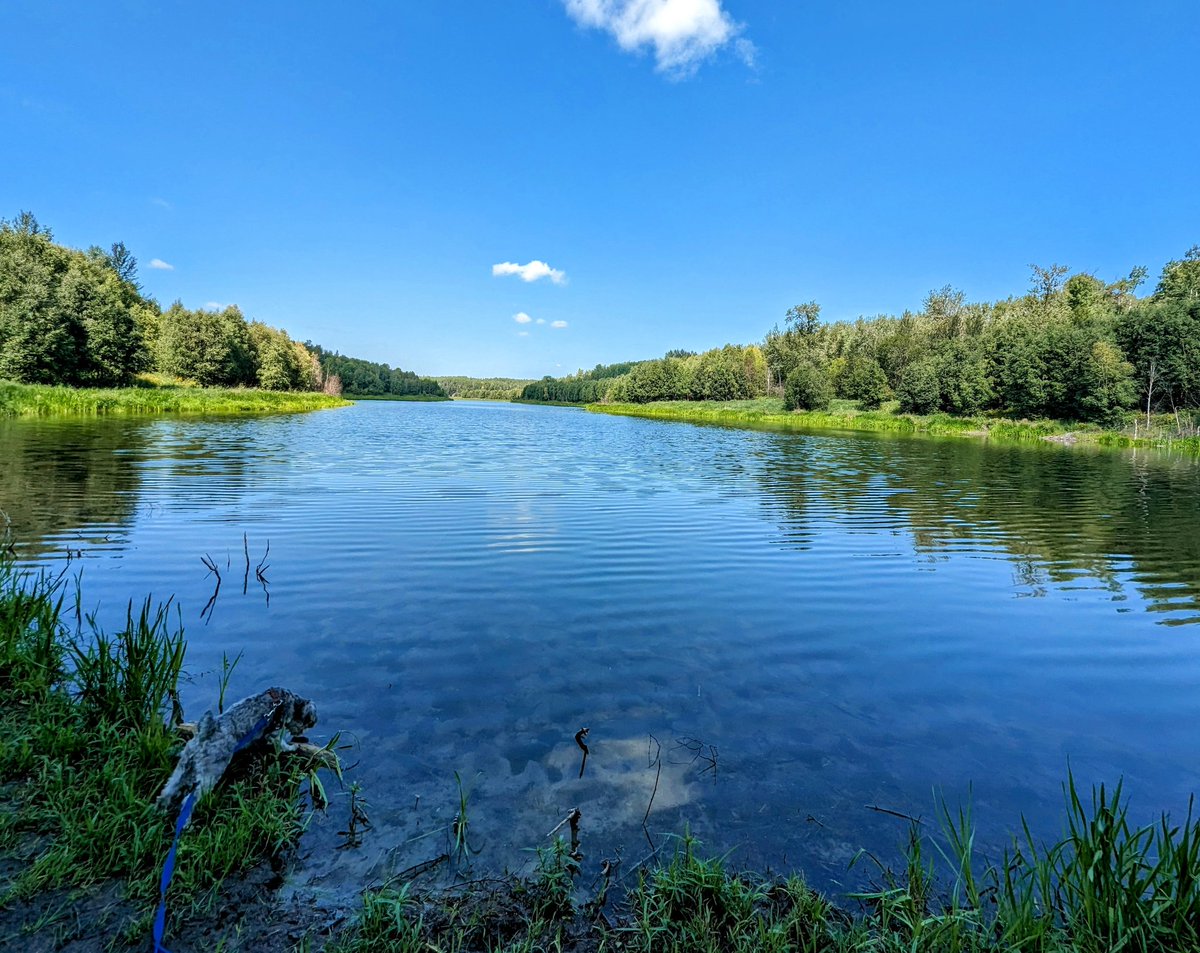 YEGwindshield's tweet photo. Drop something blue from your gallery. https://t.co/O8Z4kL5W1z
