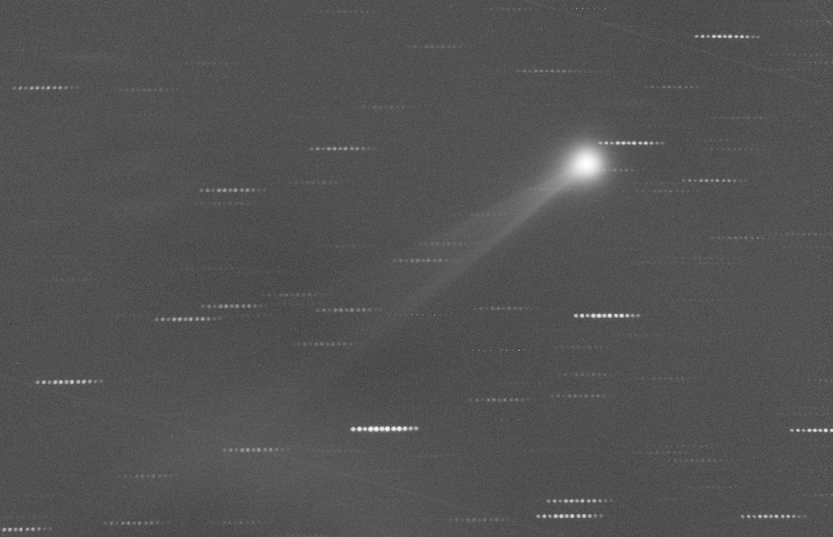 Ethem Derman tweet media