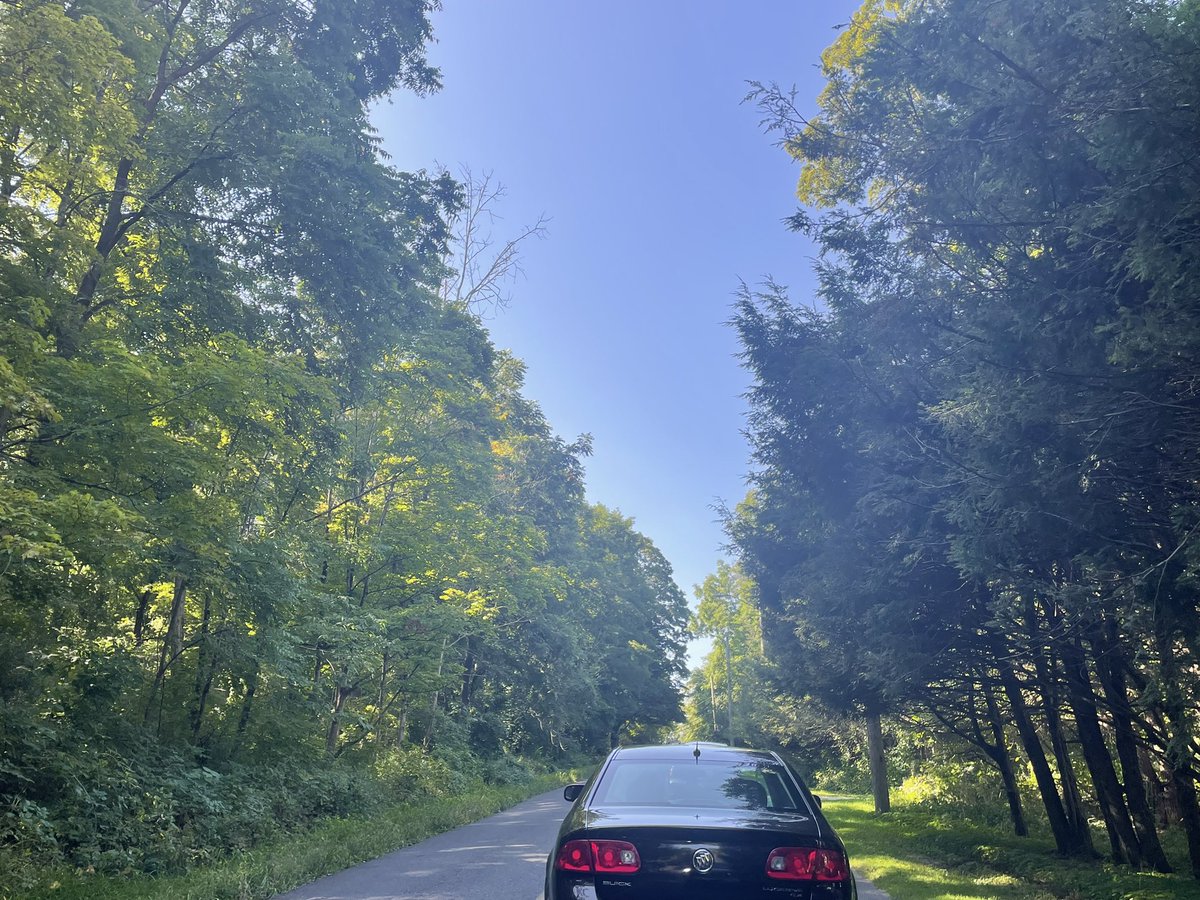 limerockpark's tweet photo. Just a reminder for SiTP spectators:
The outfield is open for parking and there is little to no wait to get in that gate rn! #hf41 https://t.co/b6Ebr6NXYy