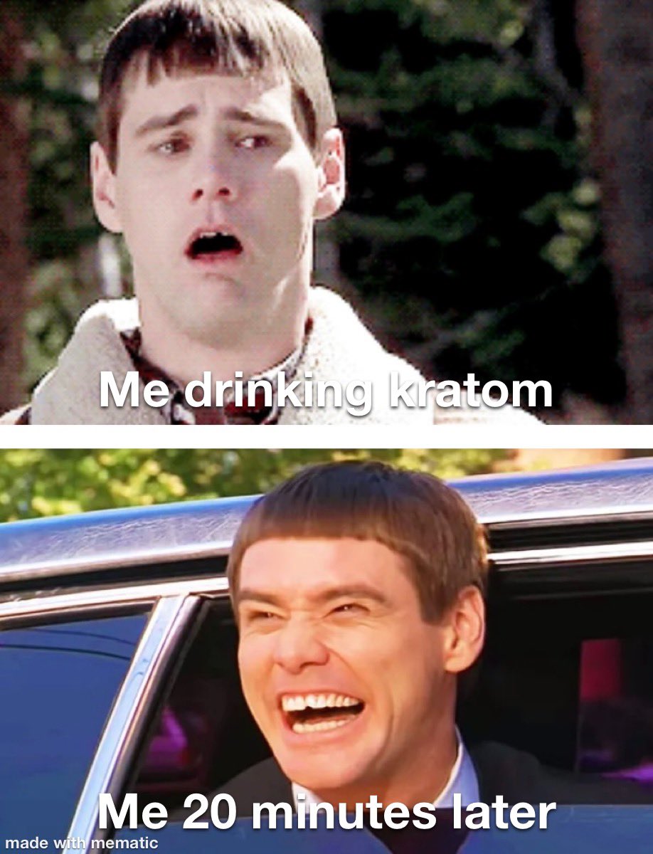 kratom_mania's tweet photo. All great things come at a price… #relatable #SlamKratom2024 #vivazen #kratom #jimcarrey #dumbanddumber https://t.co/VUbVa6Qiuf