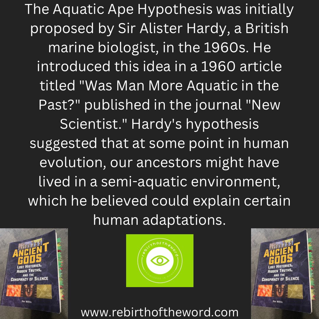 rebirthofthewo1's tweet image. Aquatic #Ape #Hypothesis: Humans once dwelled semi-aquatically, shaping traits like bipedalism and less body hair. A debated theory in our #evolutionary journey. 🌊🧍‍♂️ #Evolution #AquaticApe&quot;

My website: rebirthoftheword.com