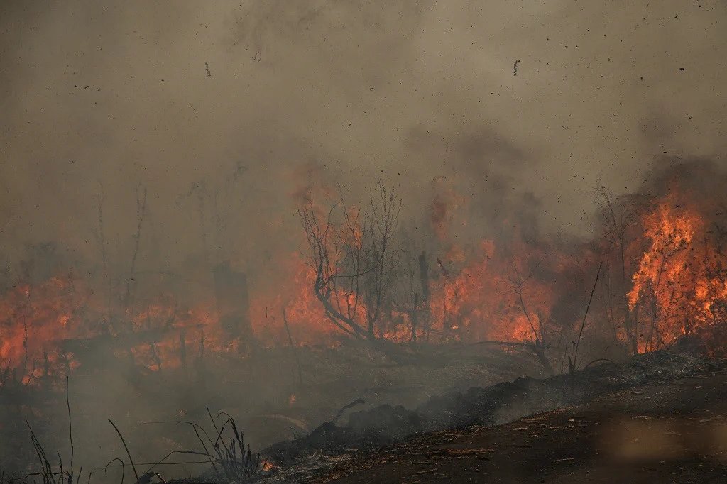 Indonesia is battling wildfires and haze as the dry season, which is expected to peak this month, intensifies across the country. The Meteorology, Climatology and Geophysics Agency mentioned the El Niño climactic phenomenon with hotter and drier weather thejakartapost.com/paper/2023/09/…