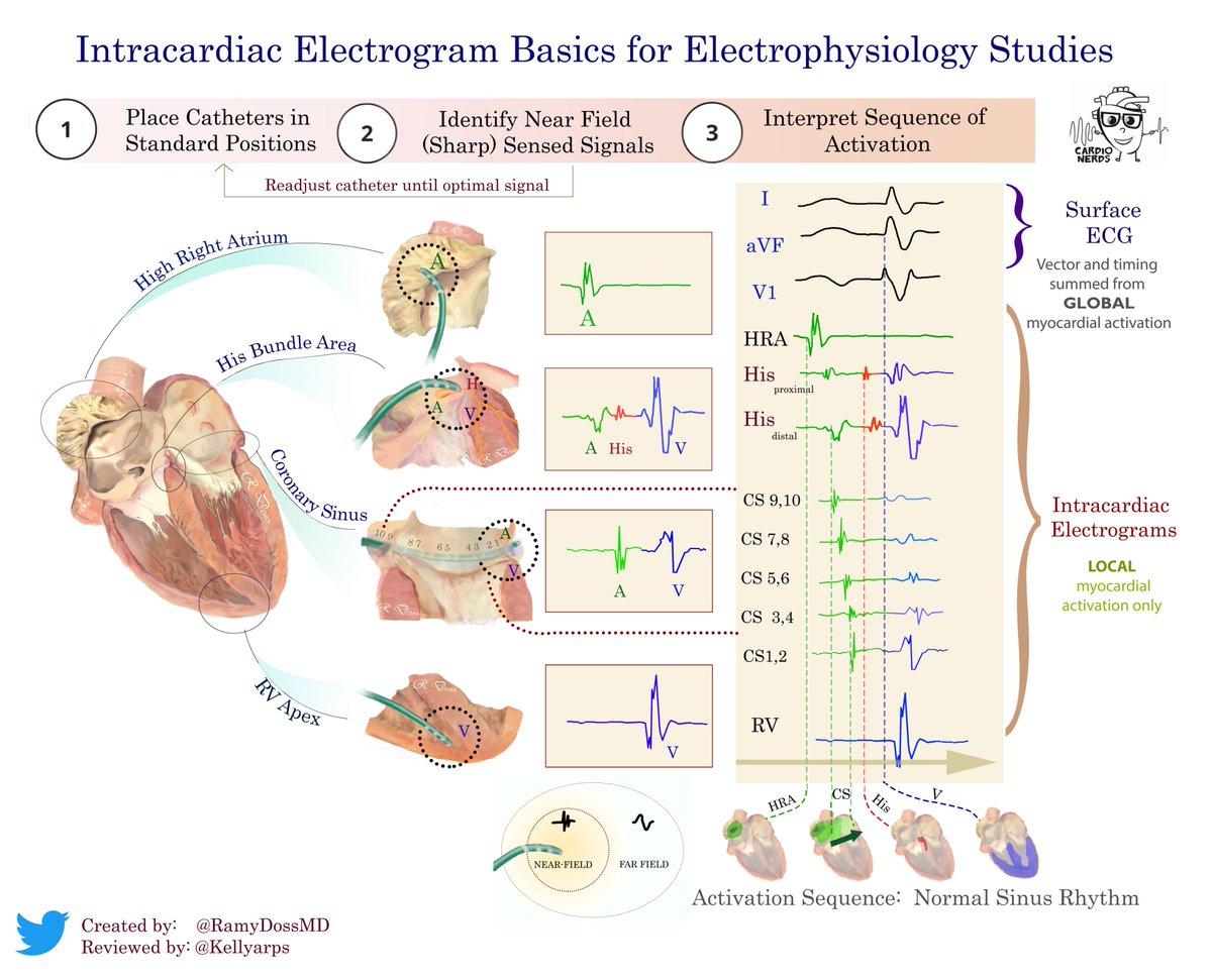 Ramy Doss tweet media