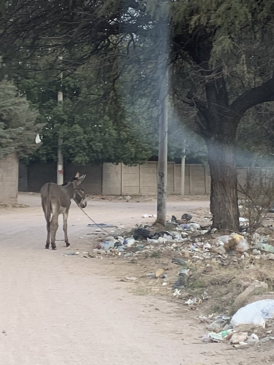 hasta cuando van a hacer esto?
no se puede ser tan forro en la vida
