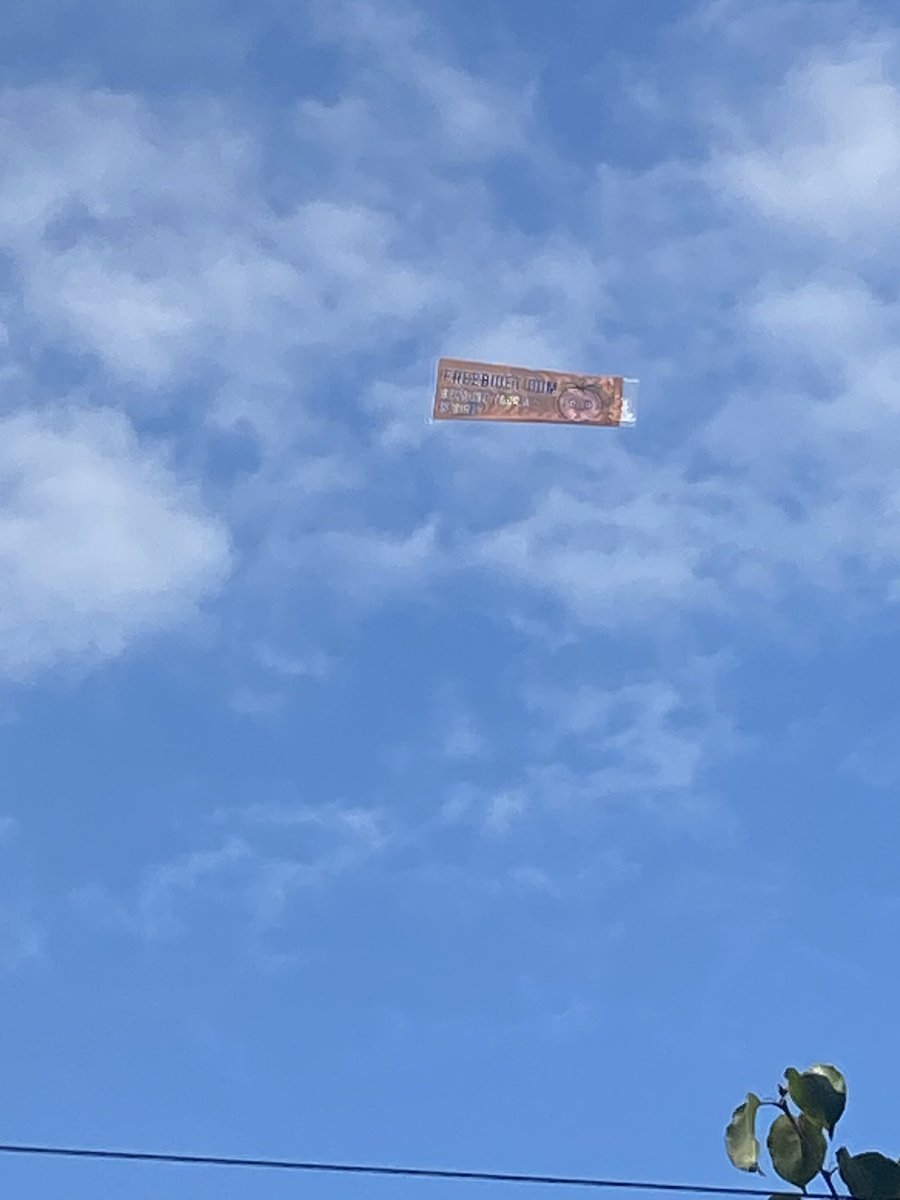 laz (@laz78912124) on Twitter photo 