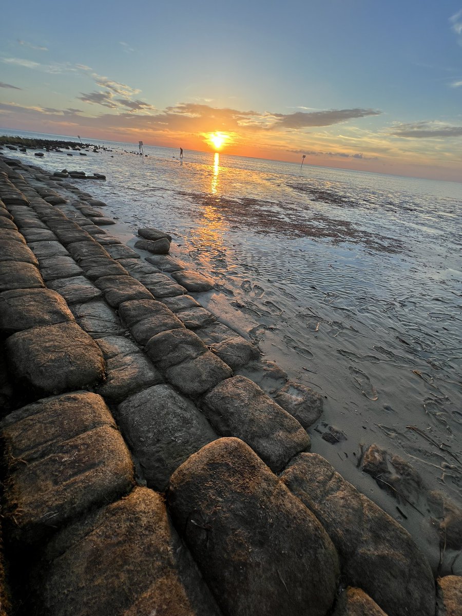 Paul Charles Art tweet media