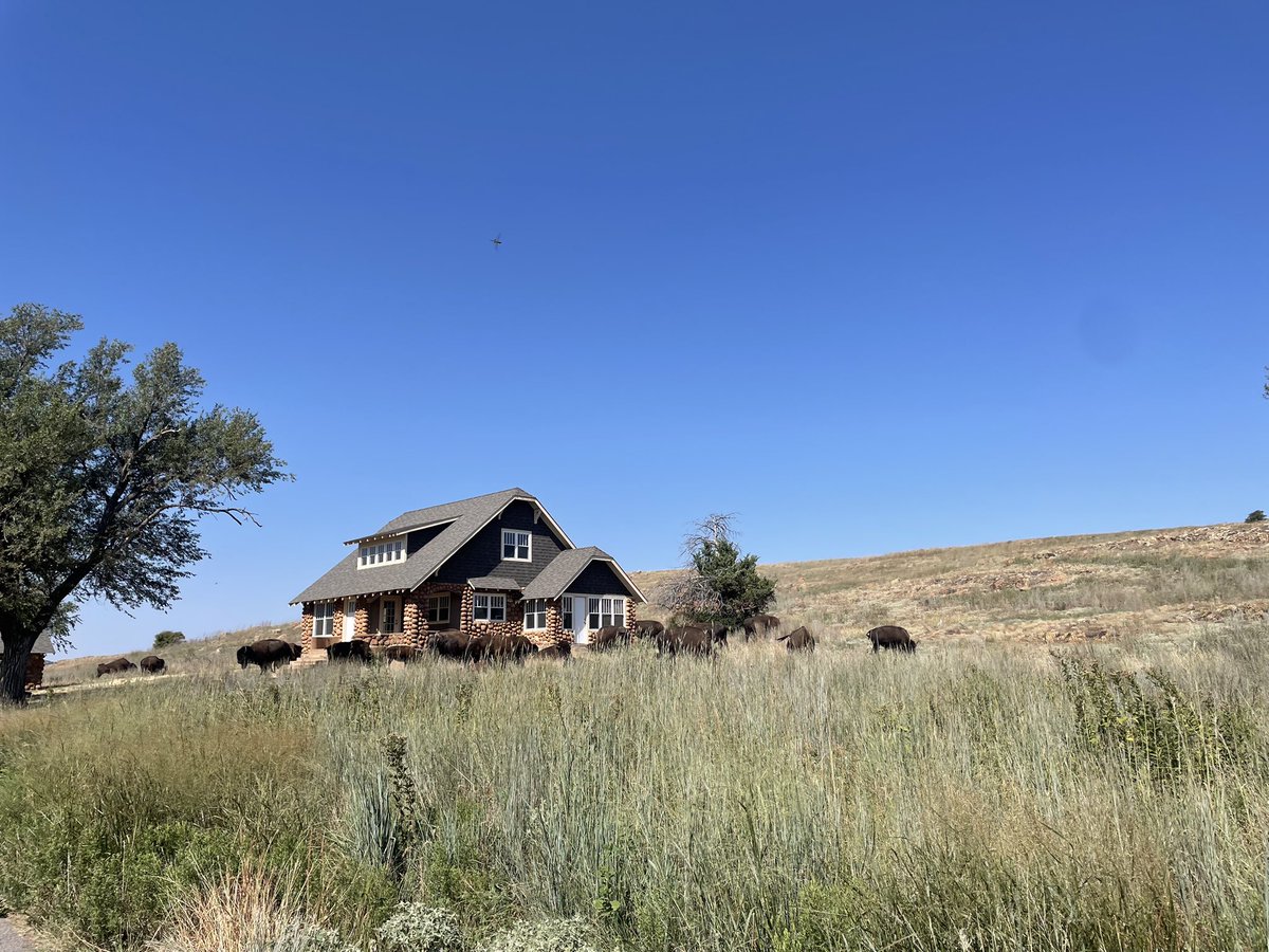 mpranchhand's tweet photo. Spent a beautiful morning yesterday hiking with the boys at the @WildLifeRefuge. They’ve definitely received some of the good rain recently that missed us further East. https://t.co/aetsiZgOmS