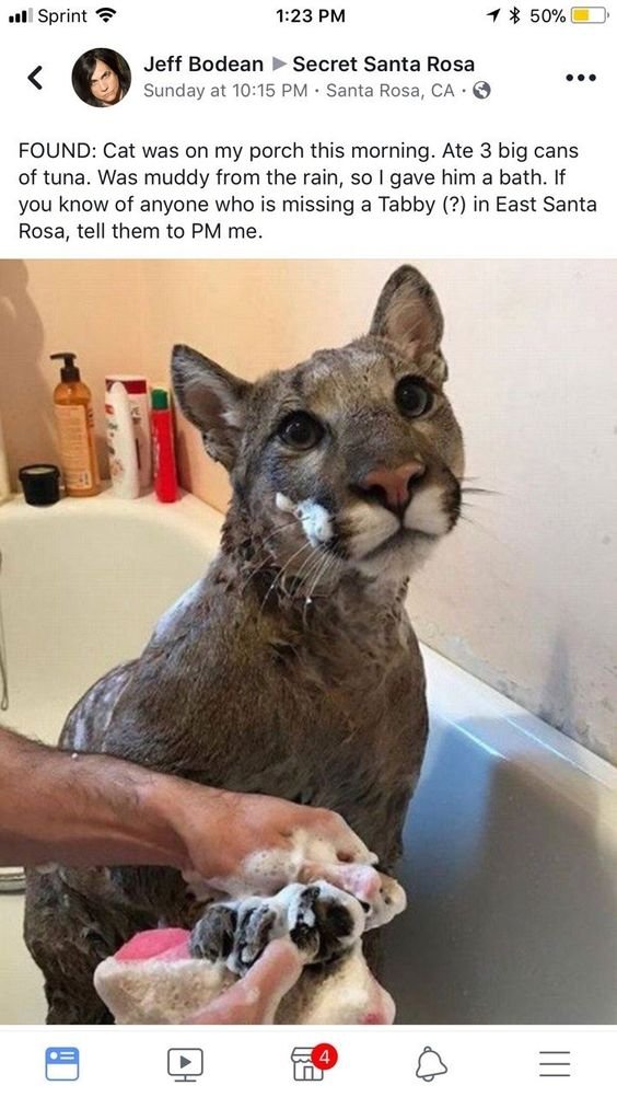WholesomeMeme's tweet photo. https://t.co/gc6O6jntWA