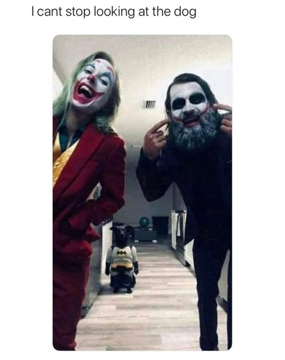 WholesomeMemes tweet media