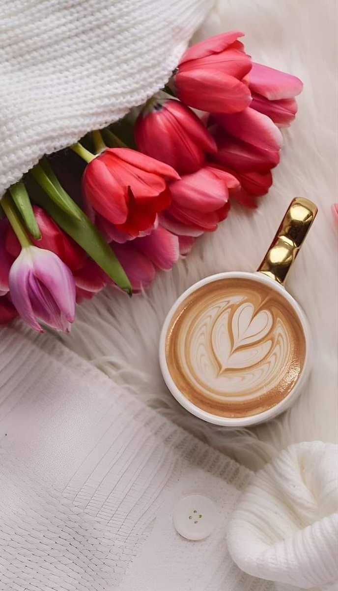 shd0016's tweet photo. #FPPG 
shd0015@
Monday 4 September 23

🌹اسلام علیکم🌹Good Morning 🌹

🌹صباح الخیر🌹🌹 Bonjour 🌹

🌹 bom Dia 🌹🌹 günaydın 🌹
===================
اللہ کریم ہم سب کو ھمیشہ خوش و خرم اور اپنے حفظوایمان میں رکھیں آمین ثم امین
حافظ على تنظيف الله سعيدًا وفي عقلك ، 
أمين ثم امین 🌹 https://t.co/kqMZBiDn5S