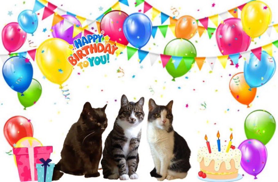 <a href="/TommieTammy1/">Tommie & Tammy, Noble & Cyril</a> <a href="/RolvendenCats/">Rolvenden Cat Rescue</a>