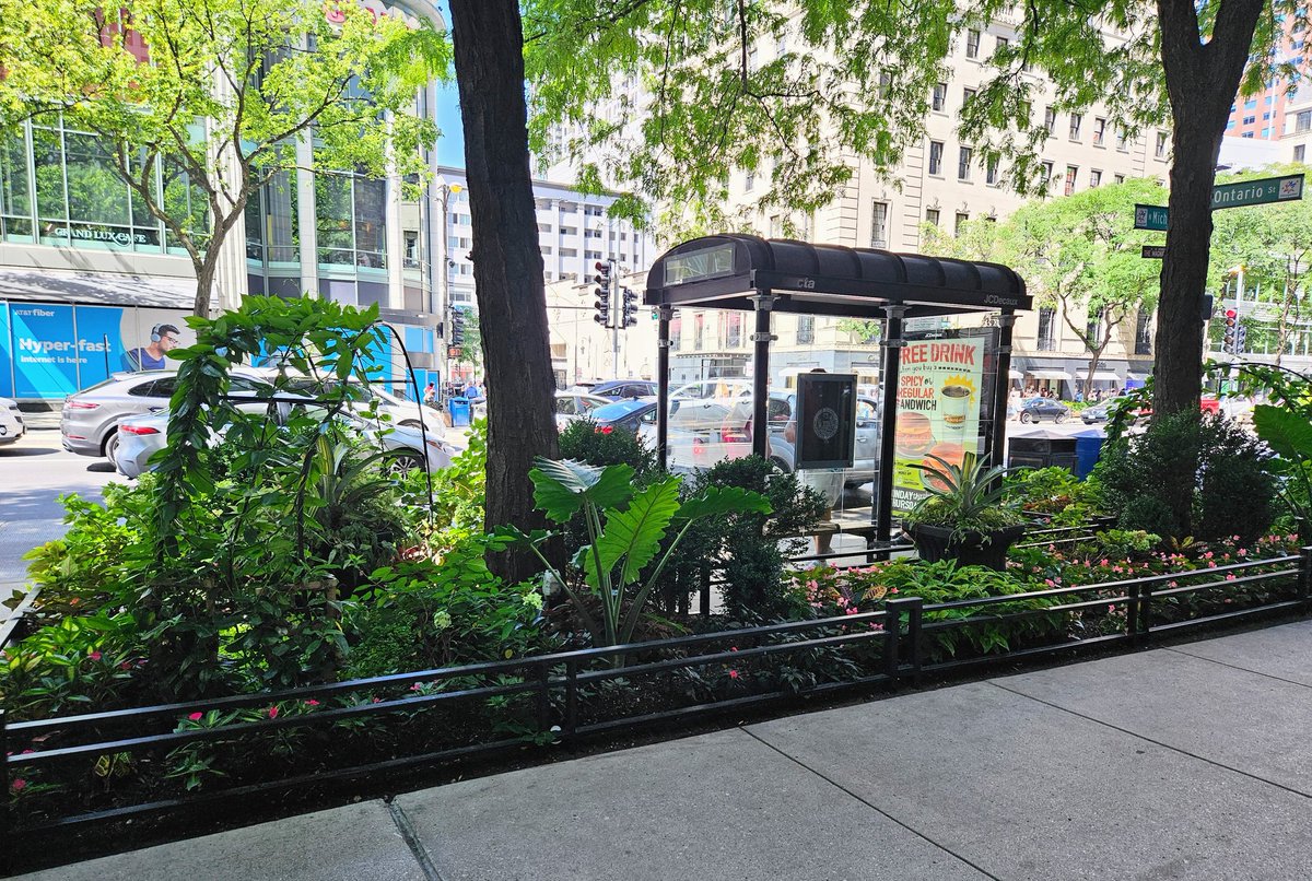 sarahforpdx's tweet photo. While I'm killing time waiting to board, here's the best bus stop of the week (hands down) spotted on Chicago's Michigan Ave @ Ontario along the "Magnificent Mile" - what a botanical beauty 🌿🚍 #traincation23 https://t.co/91pU1FaQfd
