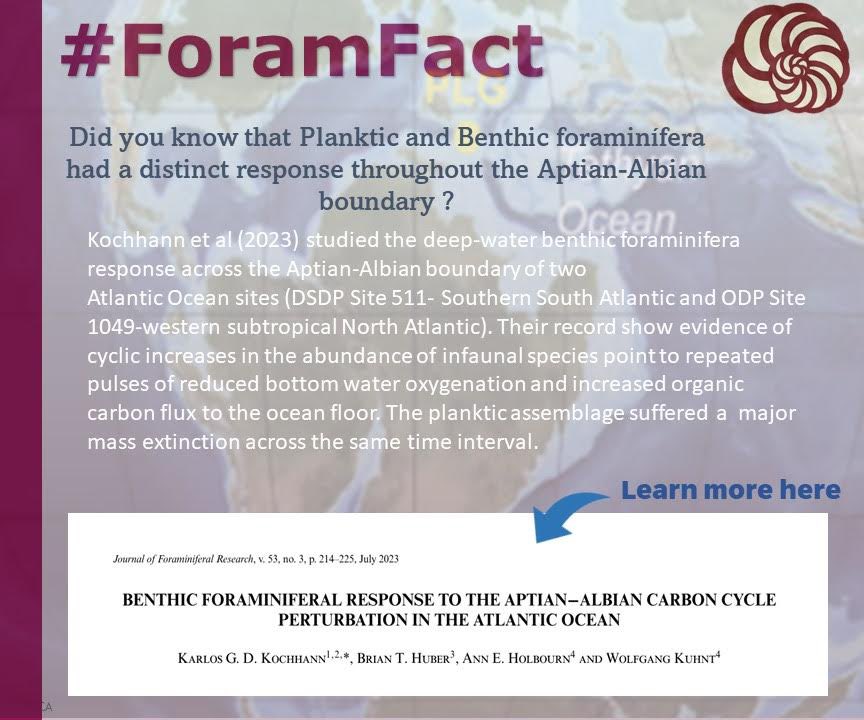 CushmanFdn's tweet photo. Happy late #ForamFriday our #ForamFact of the week is:

Did you know that Planktic and Benthic foraminífera had a distinct response throughout the Aptian-Albian boundary? https://t.co/iMfrpHBjh3
