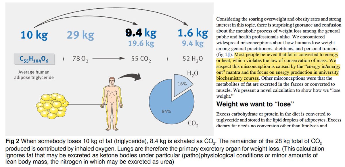 CardioCaribeMx's tweet image. Pocos profesionales del a salud entienden la #fisiología, la mayoría repetimos mantras y #dogmas aprendidos
 
La grasa se transforma en energía? Rompemos las leyes de la física en nuestros cuerpos?

La grasa se transforma en CO2 H20 y O2
 
DOI: 10.1136/bmj.g7257
 
#BackToBasics