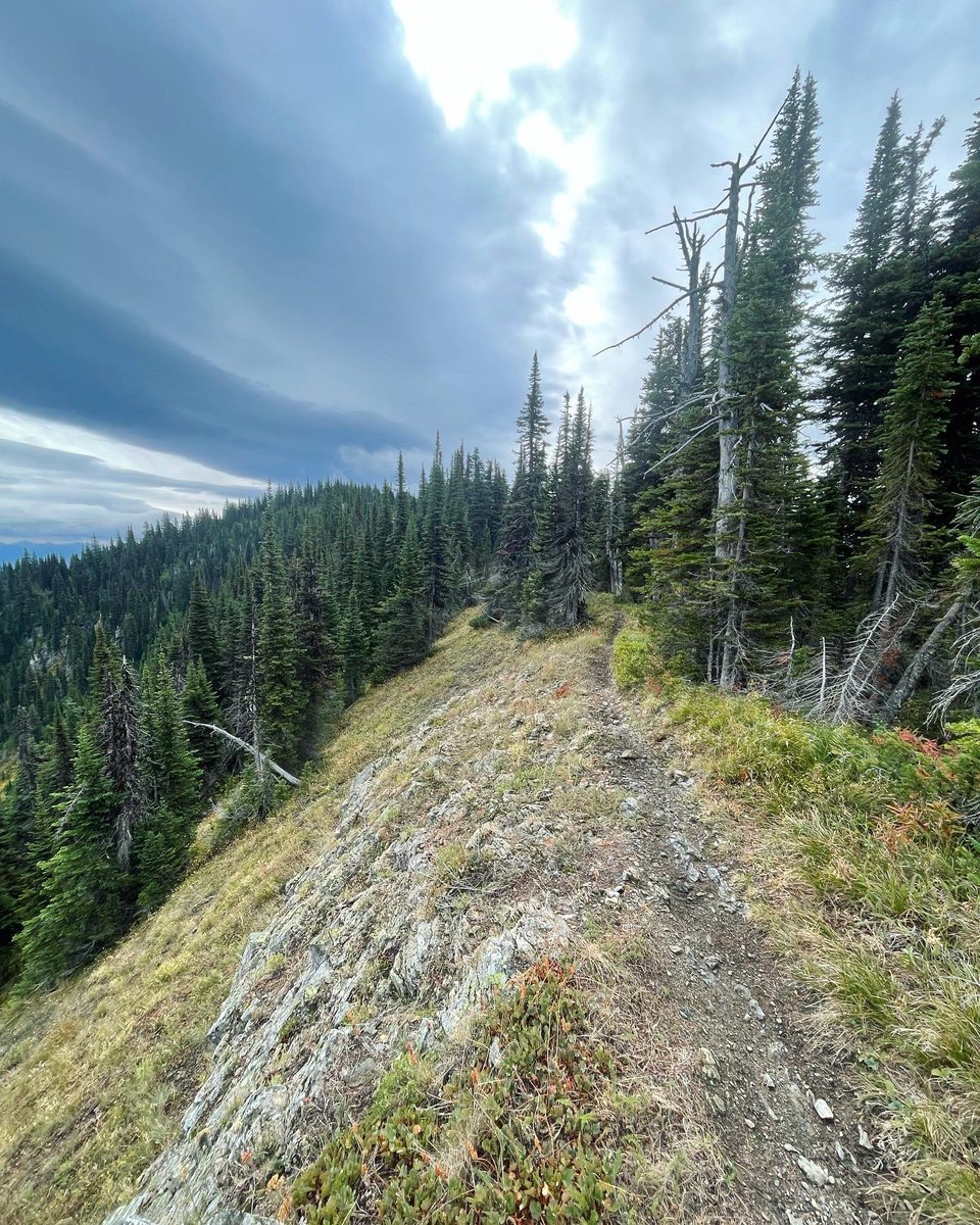 kaeloni_neville's tweet photo. 15.5 miles and 5,256 ft of elevation gain. I may not have actually been on top of the world but I sure felt like it!
#trailrunning #runningupmountans #verticalgain #runnergirl #runhappy #runhappyteam https://t.co/QvQBTU1k7h