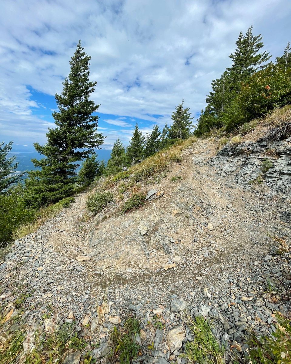 kaeloni_neville's tweet photo. 15.5 miles and 5,256 ft of elevation gain. I may not have actually been on top of the world but I sure felt like it!
#trailrunning #runningupmountans #verticalgain #runnergirl #runhappy #runhappyteam https://t.co/QvQBTU1k7h