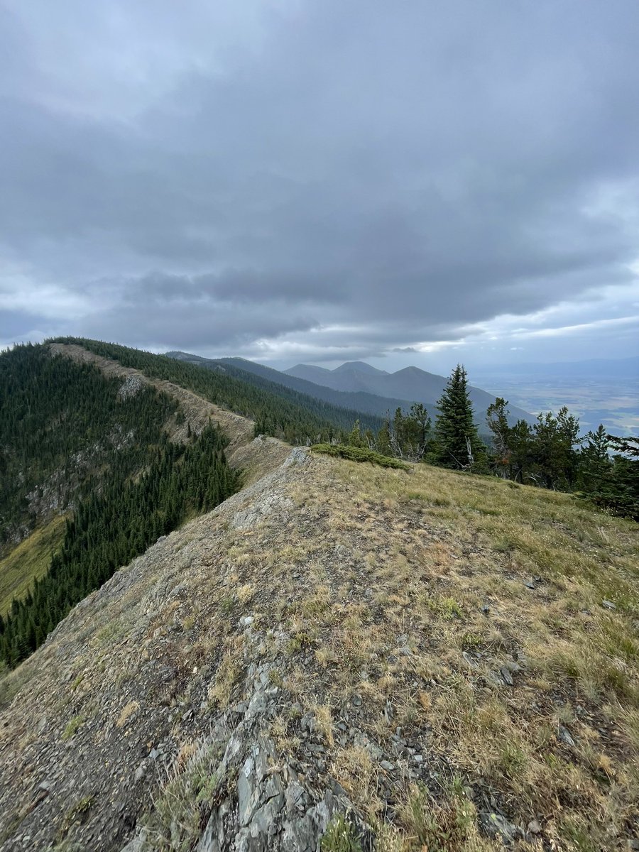 kaeloni_neville's tweet photo. 15.5 miles and 5,256 ft of elevation gain. I may not have actually been on top of the world but I sure felt like it!
#trailrunning #runningupmountans #verticalgain #runnergirl #runhappy #runhappyteam https://t.co/QvQBTU1k7h