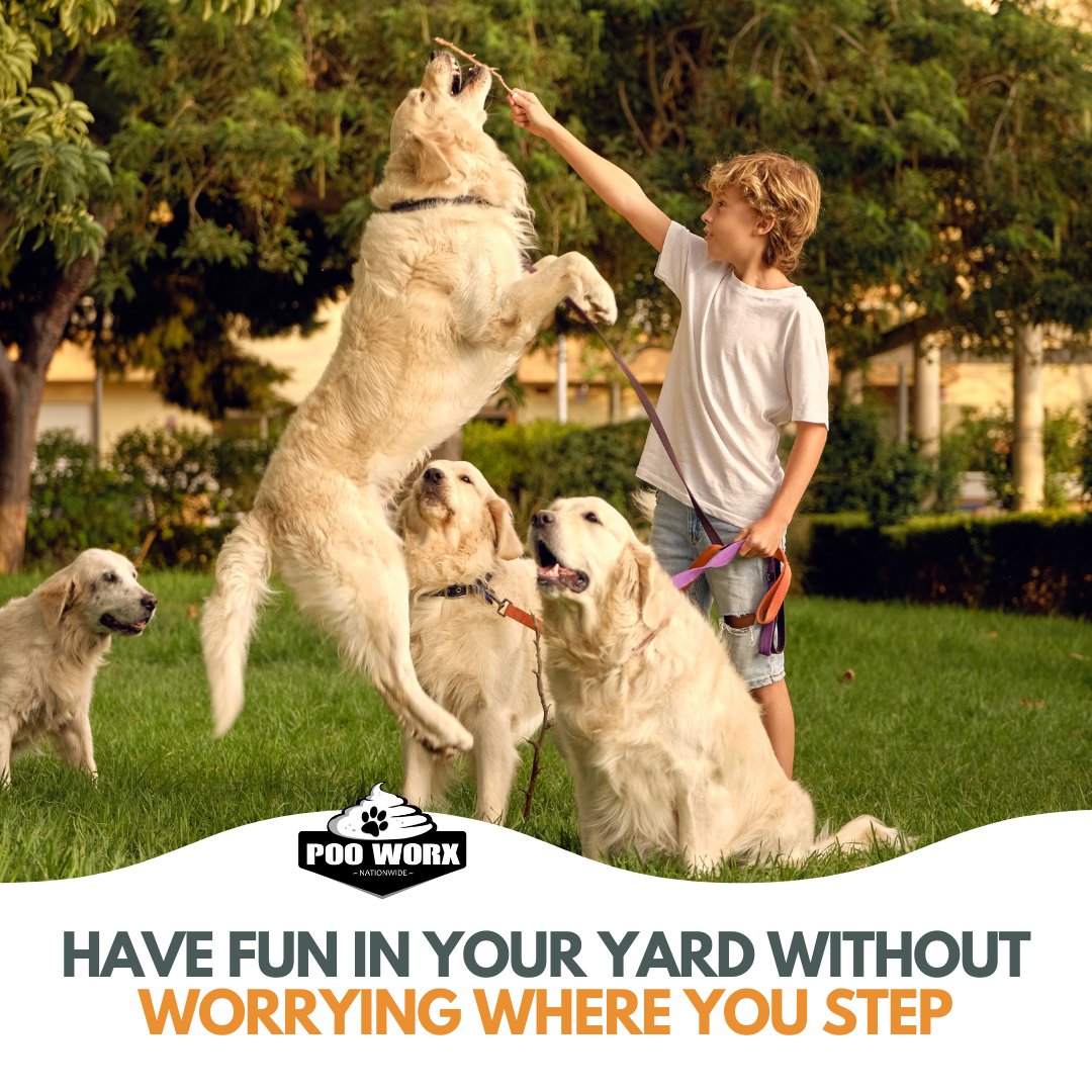 poo_worx's tweet image. Step into a clean yard and right into the fun 🐾

#StepIntoJoy #MessFreeMoments #petwasteremoval #petwaste #dogwaste #dogpooppickup #ScoopThePoop #DogsofInstagram #PuppyLove #DogLovers #InstaDogs #DogLife #Doggo #furbaby #okanagan #canadadog #pooworx