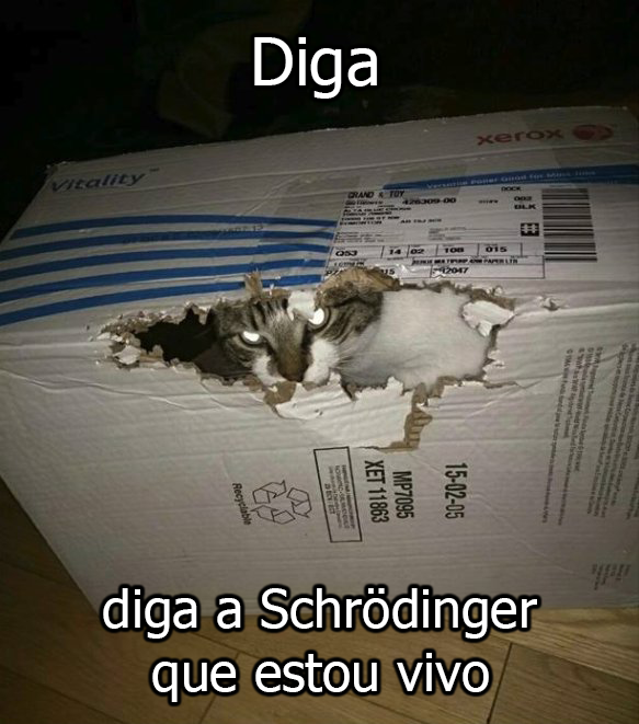 djamba vencida (@brusnos) on Twitter photo 