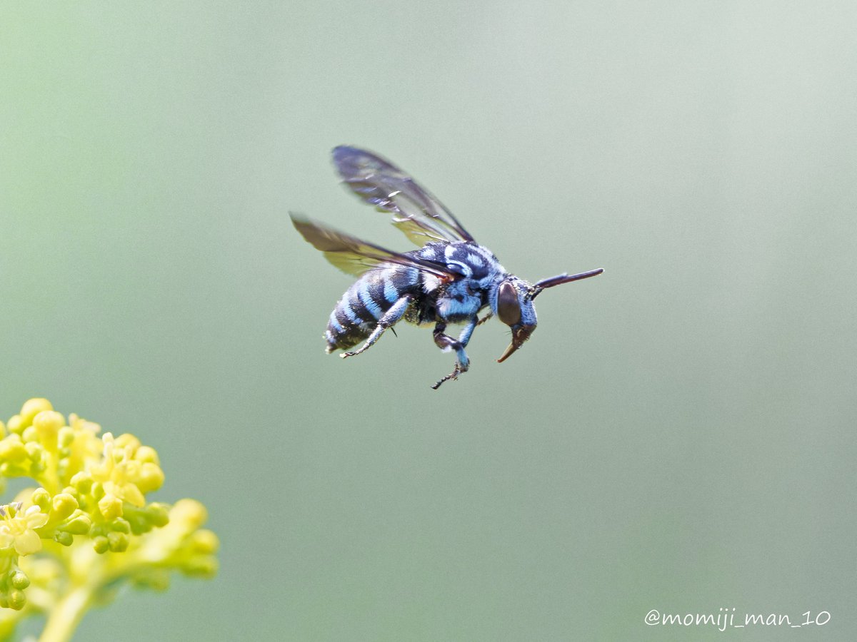 蜂蜜宝石 【✈️@ptdemos_bot】 - 554785.shtml - Search / X