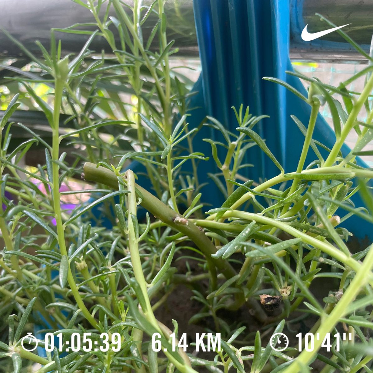realdipakm's tweet photo. Trying to be consistent with morning walk. 

#MorningWalk #DailyTarget #DailyMotivation https://t.co/rHhqeFynIY