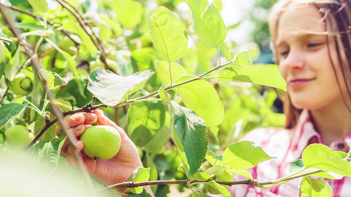 Global Centre for Preventive Health and Nutrition (@globe_deakin) on Twitter photo Want to improve human and planetary health? Discover a unique PhD scholarship opportunity at Deakin University’s world-leading <a href="/IHT_Deakin/">Institute for Health Transformation</a>
Find out more: deakin.au/45S6ExF
<a href="/_Planet_A/">Planet-A Sustainability Science</a> Want to improve human and planetary health? Discover a unique PhD scholarship opportunity at Deakin University’s world-leading <a href="/IHT_Deakin/">Institute for Health Transformation</a>
Find out more: deakin.au/45S6ExF
<a href="/_Planet_A/">Planet-A Sustainability Science</a>