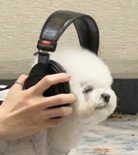 clai_risse's tweet photo. hello, clai is here :) [remake]

☆ new to #studytwt , #lifetwt , #archivetwt
☆ filo, she/they, istp, pan
☆ w2e, zild, laufey, beabadoobee, arctic monkeys and cas enjoyer <3
☆ hobbies are listening to music, sketching, playing video games
☆ gr7

♡s and rts are appreciated =) https://t.co/GpvBCN1mx3
