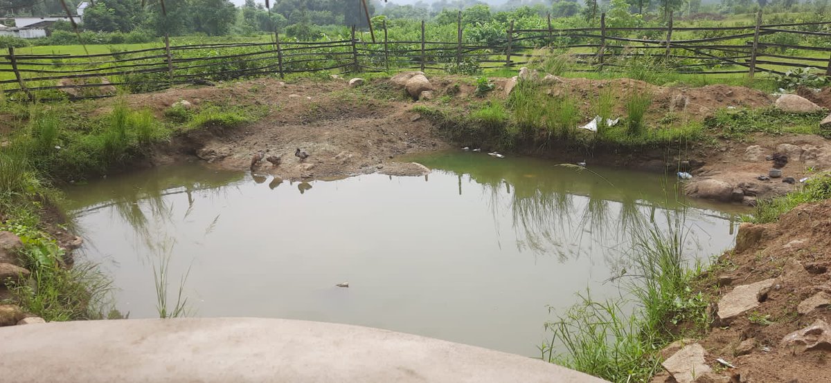 Cmde_GPrakash's tweet image. A riot of colors announced #HotelSatakosia as we drove through pristine Odiya greenery to #Tikarpada, 45 km SW of Angul. The 'hotel' is just 2 huts, 1 brick building &amp;amp; a small kitchen. More than enough to succeed. Fantastic food, ebullient staff &amp;amp; rates sans greed! #amazingodisha