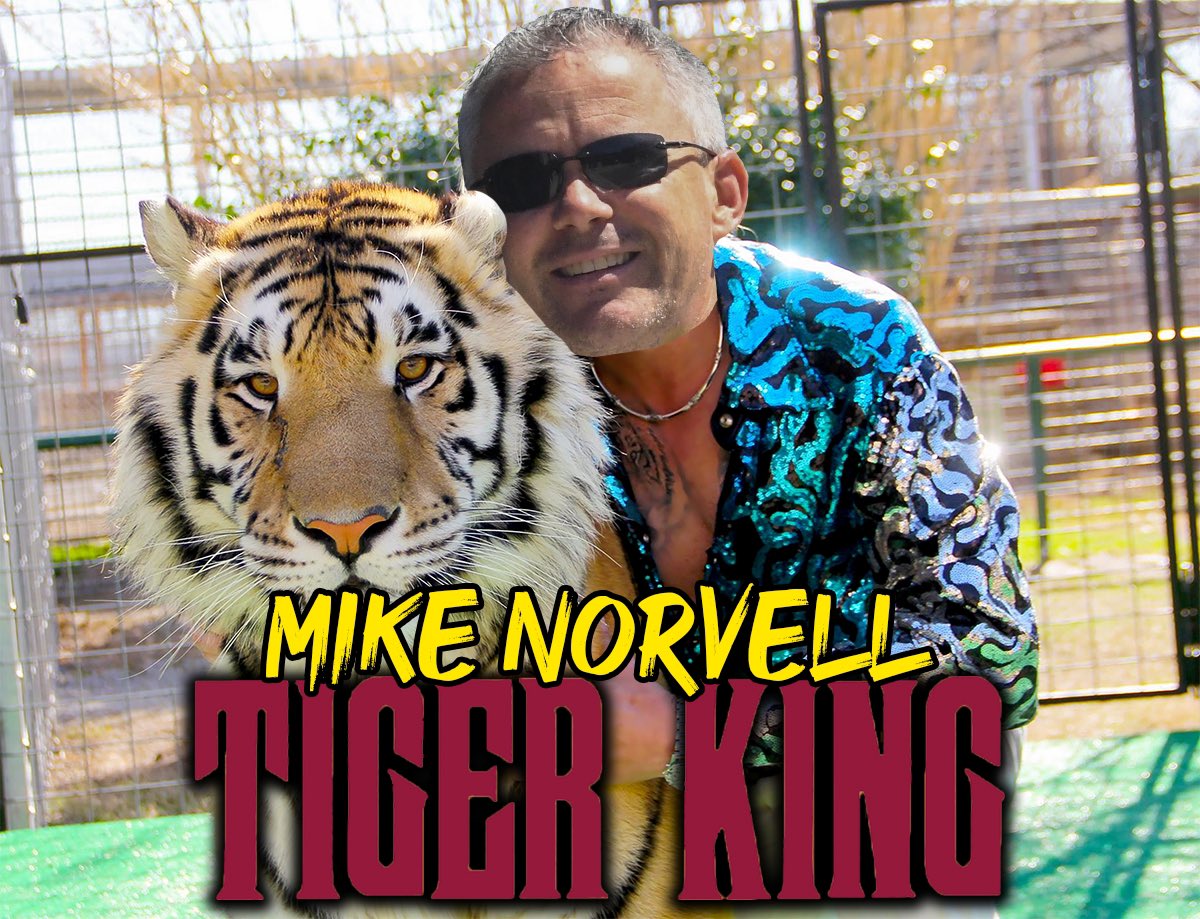 Warchant's tweet photo. THE TIGER KING 🐅 

Mike Norvell does it again! #FSU dominates LSU in the second half to move to 1-0 https://t.co/722wbukpeK