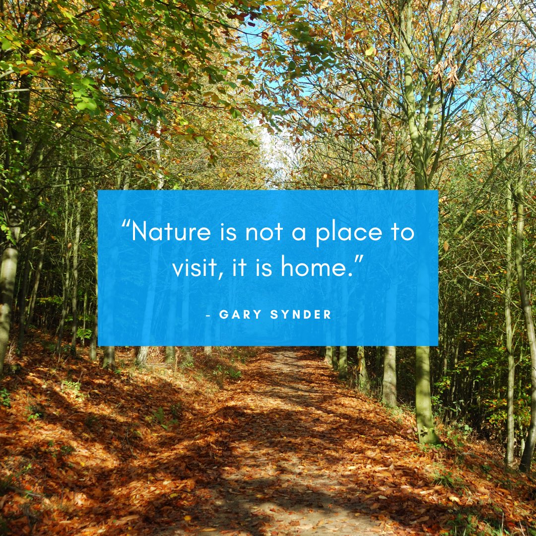 A great reminder from poet and environmental activist Gary Synder about the power of nature and how it is our collective duty to protect it. Adopting a drain is a simple, yet effective way to help protect our most important resource.🌱🌎🌊