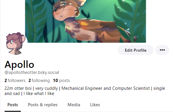 ApollotheOtter's tweet photo. Hey I finally got an invite for 🟦☁️ https://t.co/A2JIoAoxej
