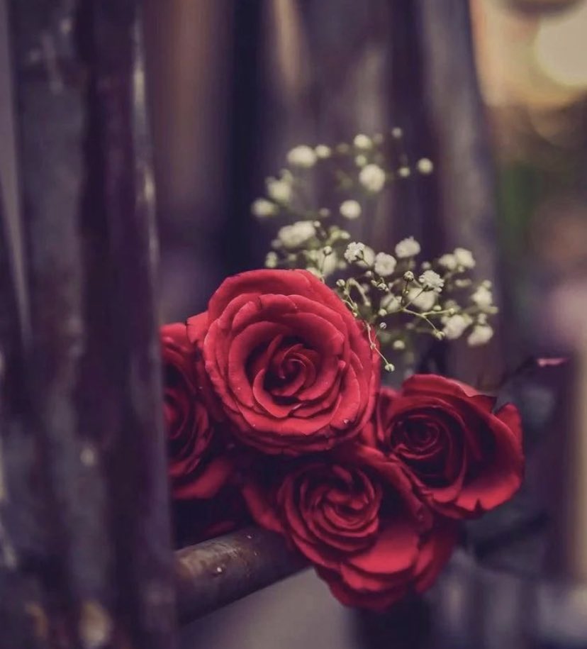 ‏❥|❁ سعاد .. tweet media