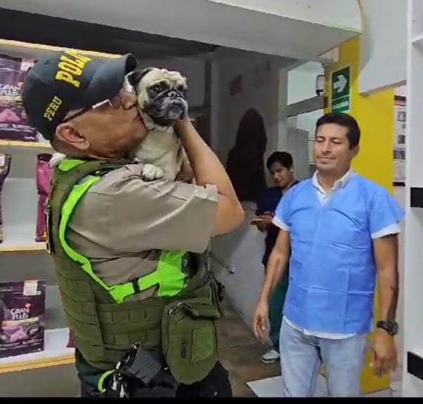 Policía Nacional del Perú tweet media