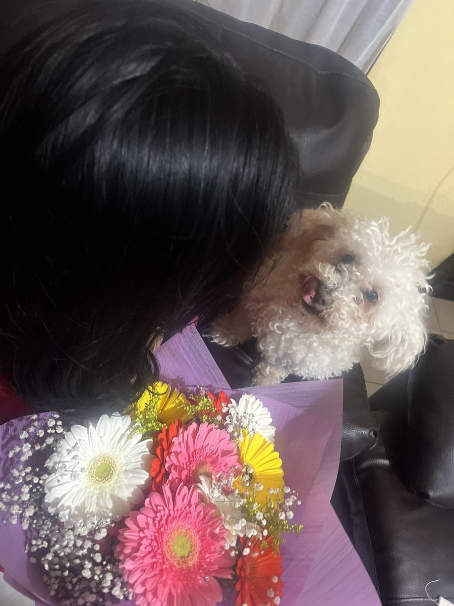 marielitharc_23's tweet photo. Las más amorosa de la existencia… 🫶🏻😍🐶🐾🫶🏻 https://t.co/0MtRUqWnHT
