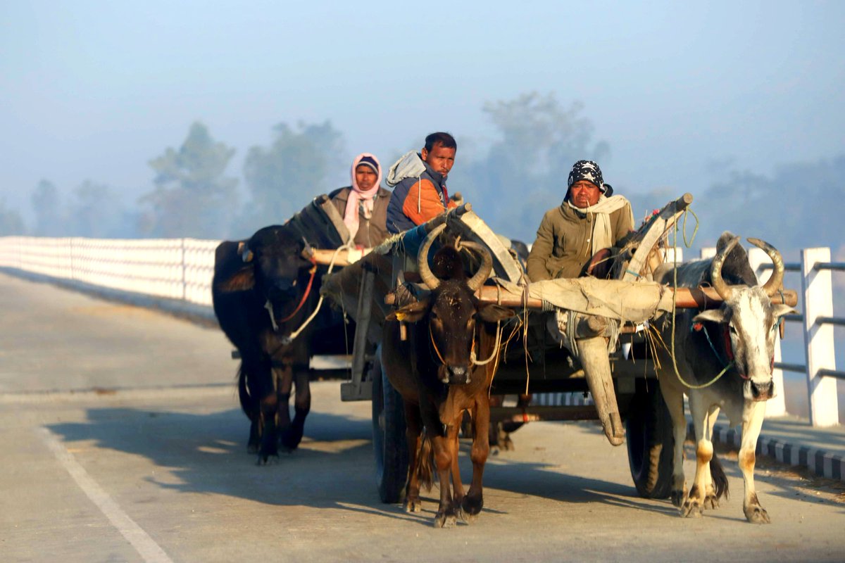 UNDPNepal's tweet image. Halfway through 2030, where does #Sudurpaschim stand on the road to achieving the #SDGs? Top leaders and actors come together to identify gaps and set priorities to up the pace.

Read more 👉undpnepal.medium.com/sudurpaschim-c…
