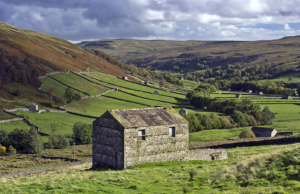 We open a window to the Dales each morning and share some of our favourite views. Like this classic view from Thwaite in Swaledale. Find out more here 👇

yorkshiredales.org.uk/places/swaleda…

📸 Wendy McDonnell | #MondayMotivation #YorkshireDales #Swaledale