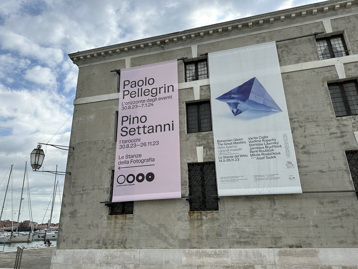 Mariana Castilho tweet media