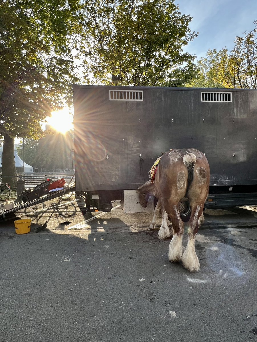 TomDeGendt's tweet image. Leuven #Jaarmarkt
Leuven #Kermis
Leuven #Beestenmarkt 
Alles gesloten vandaag (behalve de cafés 🙃) (en wij werken ook vandaag 😉)
📅 Eerste maandag van september.
📍 Sint-Jacobsplein
#Leuven