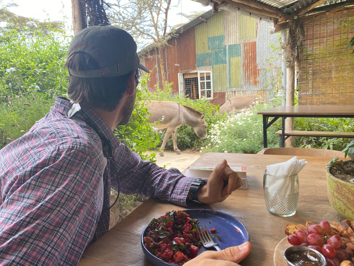kenyaoperate's tweet photo. The (very) occasional meal out these days may start out looking like any other but can end up quite differently... especially when your husband LOVES donkeys! 

"Take my picture with him!" -Micah, as he stood up to get closer (last photo)

#lifeinkenya https://t.co/QqlQ5YPW99