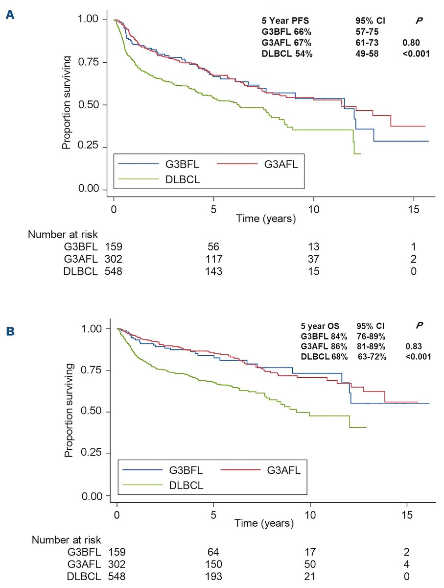 Grade 3B follicular lymphoma: read here the results of the first large international study on prognosis, outcomes and relapse patterns of this rare #FollicularLymphoma subtype in the rituximab era.
haematologica.org/article/view/h…