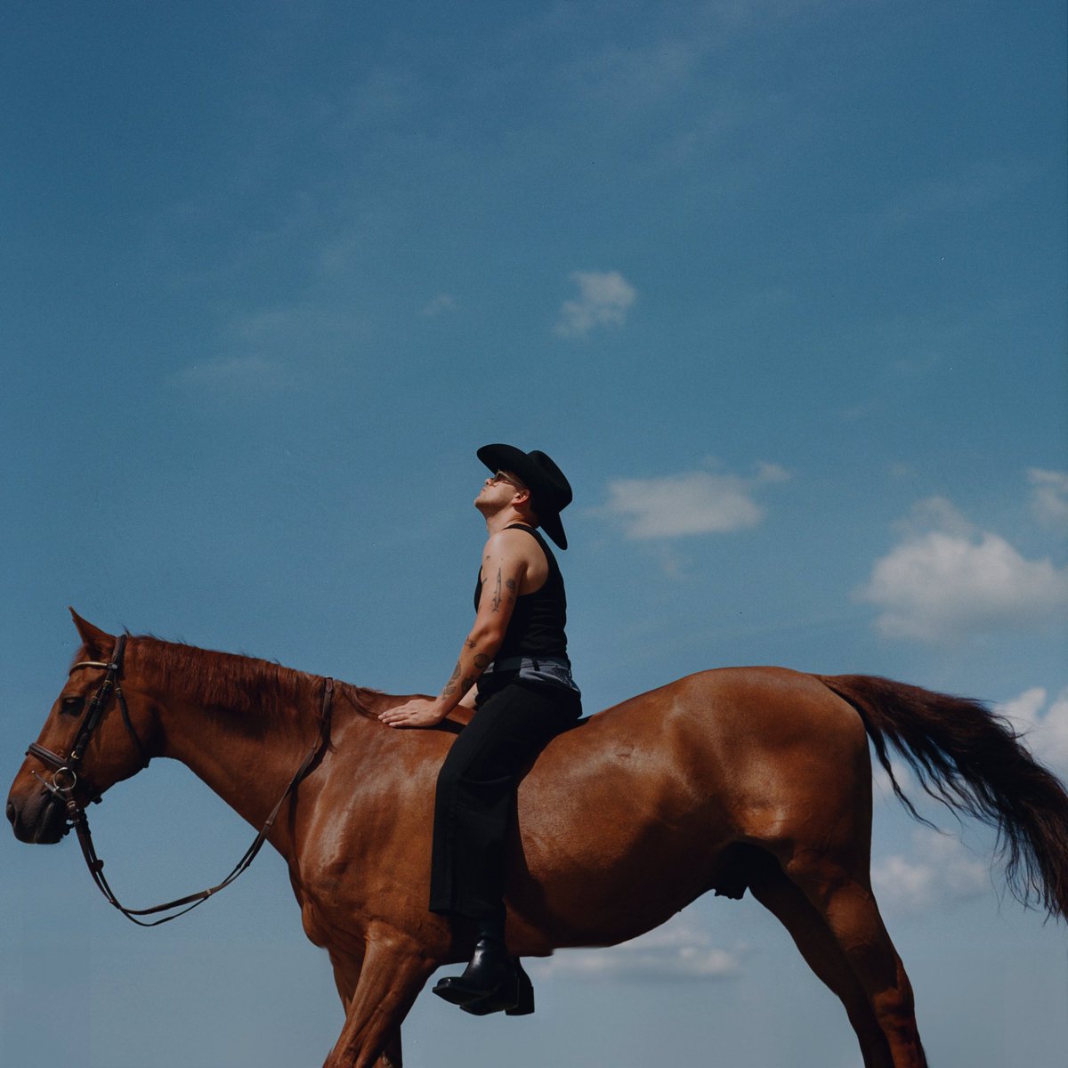 FSandHG's tweet photo. The South’s Got Something To Say

Our new album
15/09/23 🐎 https://t.co/yl8whG4Up3
