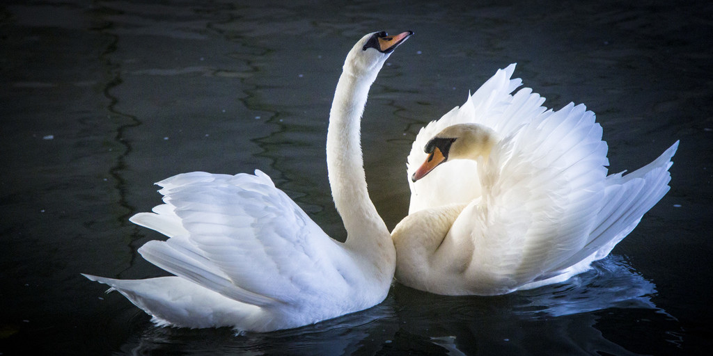 Canal & River Trust tweet media