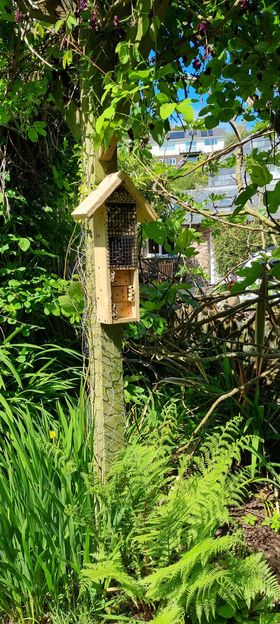 #nationalwildlifeday This amazing insect house was made for us by regular guests, leaving parts of the garden to return to nature in the quarter of an acre garden. Set in Slapton is between Dartmouth and Salcombe.
🐾 More details: slaptonholidaycottage.co.uk