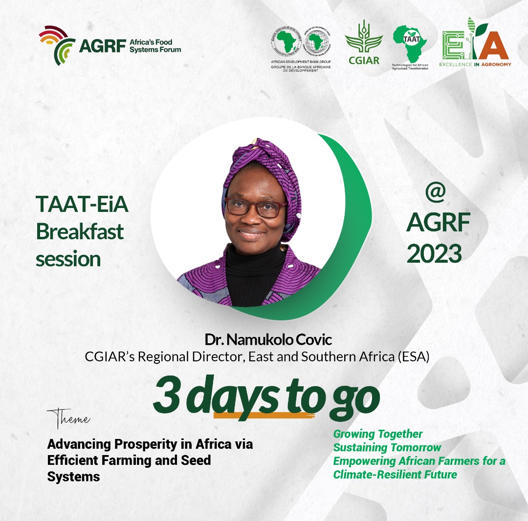 Taat_Africa's tweet photo. Counting down to the @Taat_Africa and @CGIAR's #EiA @ScalingAgronomy morning session on 6th Sept at 7am. #TAATAGRF2023 #BreakFastSession
#TAATEiA #FeedAfrica
@AfDB_Group
@GatesAfrica https://t.co/wqDIUSIvvk