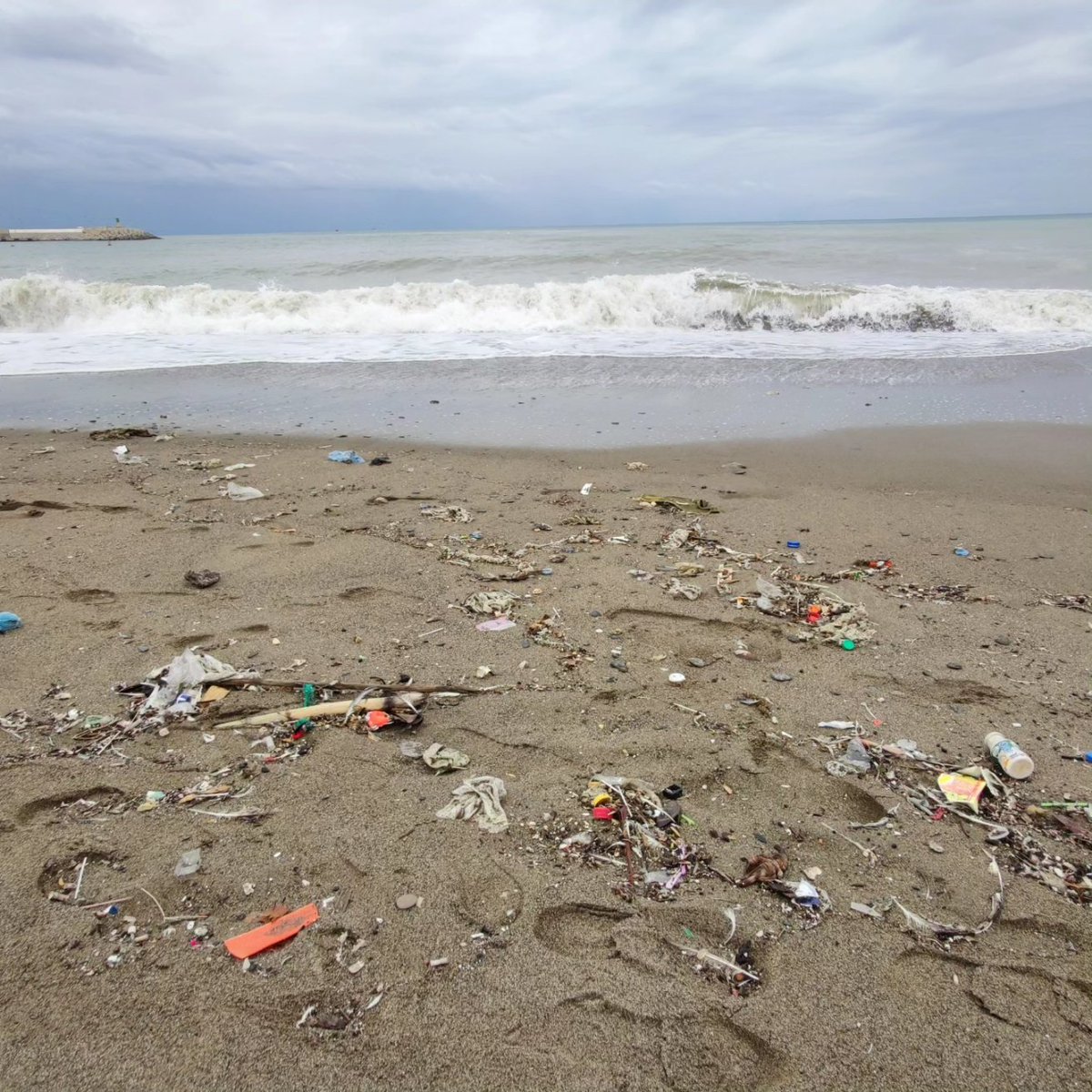 Este es el estado de la Playa de San Andrés y su Espigón. Fotos hechas ayer por la mañana.
El incivismo de la ciudadanía y la dejadez más absoluta de los organismos públicos competentes se convierten en una amenaza permanente contra nuestra salud,la Naturaleza y su biodiversidad