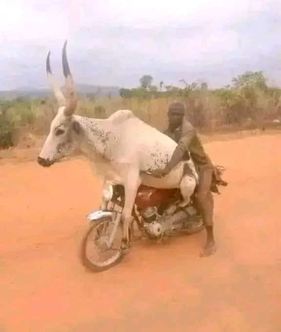 CelebrityRm's tweet photo. @MaamaKampala21 I love my country Uganda
Coz everything is possible https://t.co/tYQ0qlRe2C