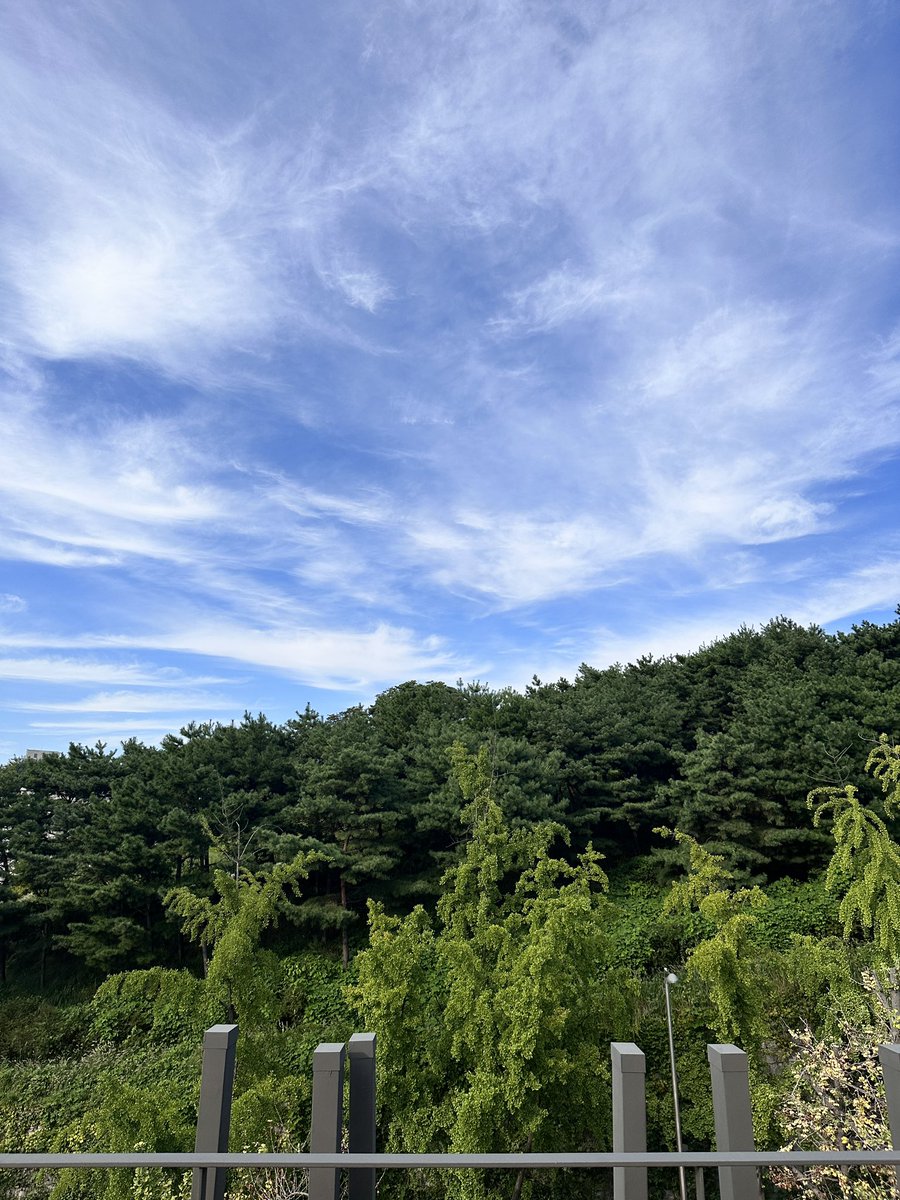 GM
and….
 $tip <a href="/tipcoineth/">tipcoin</a> 

Sry for being typical web3 ppl 🤣
Btw it’s always good to hike 👏