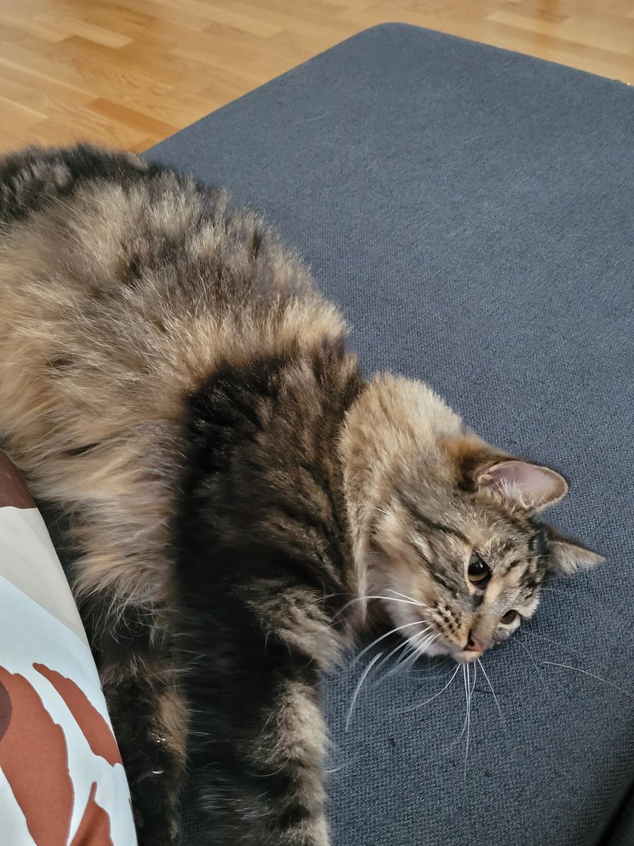 paivi65's tweet photo. Nyt on syöty ja vähän leikitty. Tämmösiä "mummohommia"
mulla. #Bablo https://t.co/RfD98Pk3ph