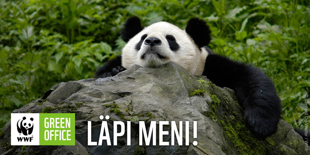 Onnea Piirla #WWFGreenOffice ensitarkastuksen läpäisemisestä! Olette tehneet hyvää työtä mm. hankintojen kartoittamisessa ja jätelajittelun kehittämisessä. Ympäristöohjelmanne on monipuolinen ja kattoi kaikki Green Officen osa-alueet.
Tutustu Piirlaan➡️ piirla.fi