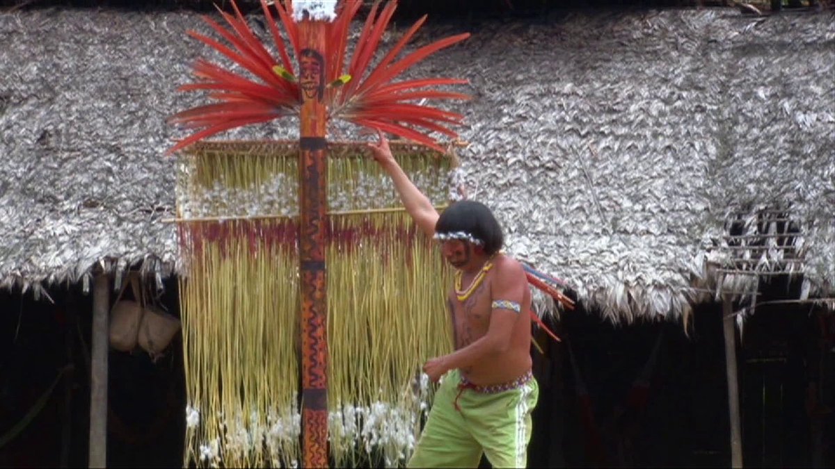 Oggi il #cinema indigeno sbarca a #Venezia in contemporanea con l’80ma Mostra Internazionale d’Arte Cinematografica! Nella #SalaLaguna sarà proiettato il film “Gli occhi della foresta” di Morzaniel Ɨramari, primo regista #yanomami.
@giornate #GiornateDegliAutori